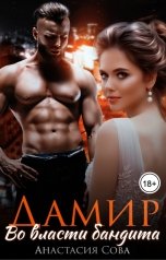 обложка книги Анастасия Сова "Дамир. Во власти бандита"