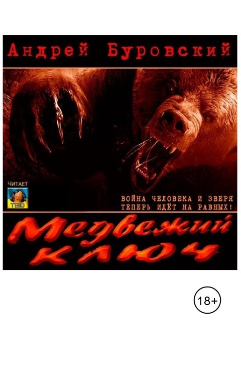 Обложка книги TED ака Эдуард Волошин Медвежий ключ