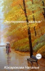 обложка книги Косарокова Наталья "Эксперимент удался!"