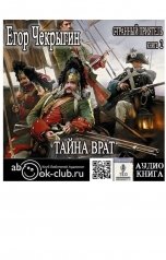 обложка книги TED ака Эдуард Волошин, Егор Чекрыгин "Тайна Врат"