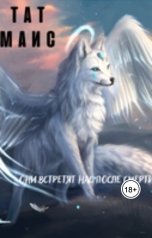 обложка книги Тат Маис "Они встретят нас после смерти"
