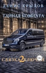 обложка книги Денис Крылов "Тайная комната"
