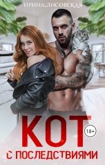 обложка книги Ирина Лисовская "Кот с последствиями"
