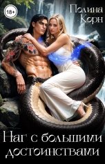 обложка книги Полина Корн "Наг с большими достоинствами"