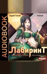 обложка книги Findroid "Я покорю Лабиринт с помощью техник массажа. Книга 3"