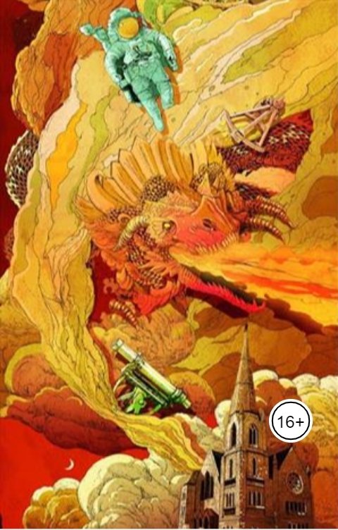 Обложка книги Явь Мари Теория Хайма