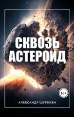 обложка книги Александр Шурикен "Сквозь астероид"