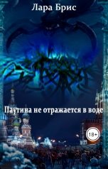 обложка книги Лара Брис "Паутина не отражается в воде"