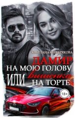 обложка книги Светлана Серебрякова и Ольга Берг "Дамир на мою голову или Вишенка на торте"