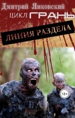 обложка книги Дмитрий Янковский "Линия раздела"