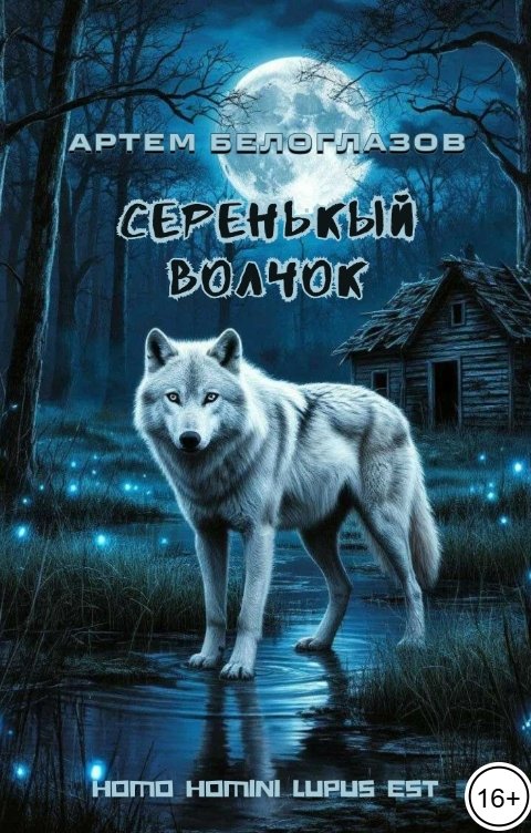 Обложка книги Артем Белоглазов Серенькый волчок