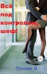 обложка книги Полина Ветер "Всё под контролем, шеф!"