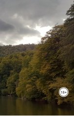 обложка книги Джордж НеМартин "Разговаривающий с деревьями"