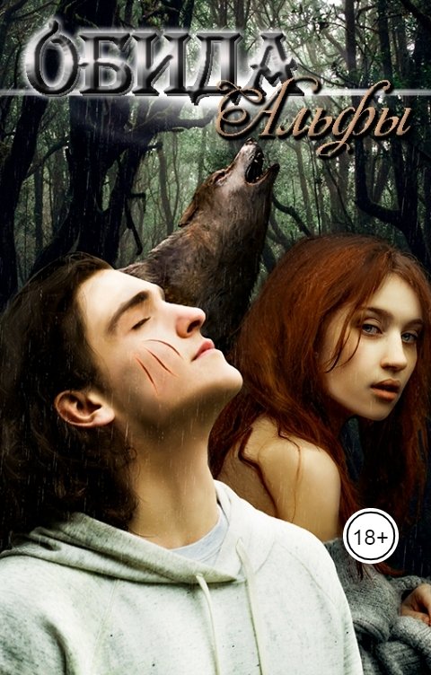 Обложка книги Rigina Degtyareva Обида Альфы