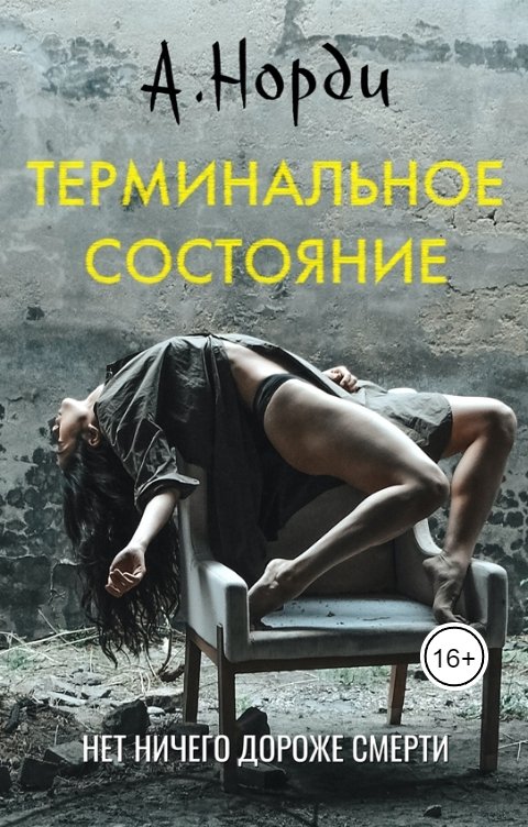 Обложка книги А. Норди Терминальное состояние