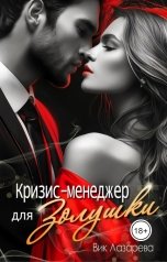 обложка книги Вик Лазарева "Кризис-менеджер для Золушки"