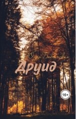 обложка книги Юлия Бабчинская "Друид"