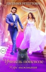 обложка книги Евгения Решетова "Учитель поневоле. Курс выживания"