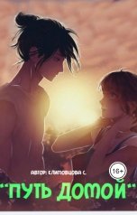 обложка книги Светлана Климовцова "Путь домой."