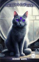 обложка книги Ксения Широ "Чердачный дух"