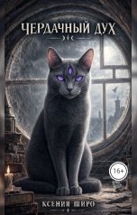 обложка книги Ксения Широ "Чердачный дух"
