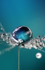 обложка книги Cappele "Книга 1. Тени прошлого. Том 1"