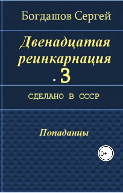 Обложка книги Сергей Богдашов Двенадцатая реинкарнация 3