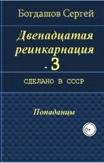 обложка книги Сергей Богдашов "Двенадцатая реинкарнация 3"