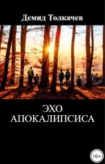обложка книги Демид Толкачев "Эхо апокалипсиса"