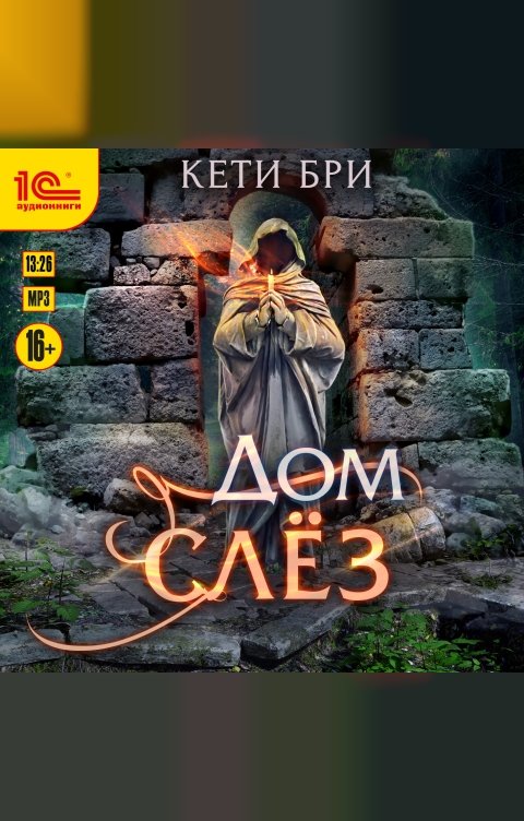 Обложка книги 1С Аудиокниги Дом слёз