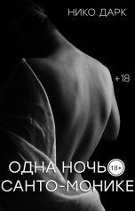 обложка книги Нико Дарк "Одна ночь в Санта-Монике"