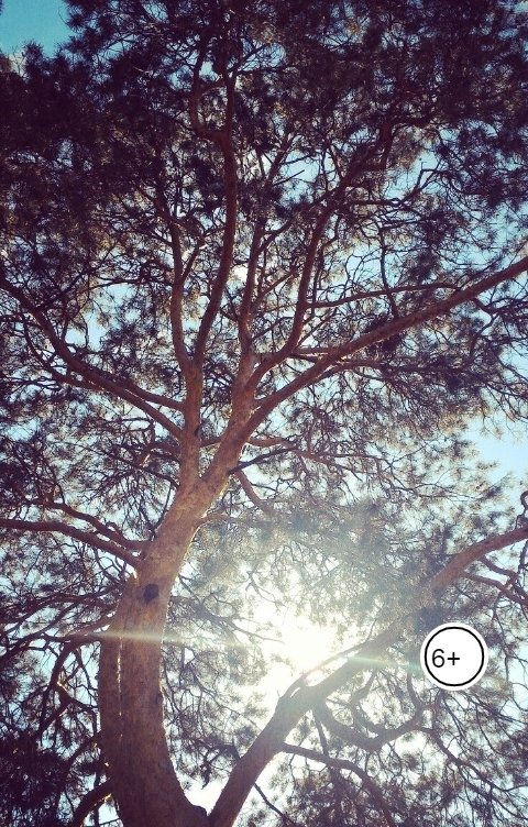 Обложка книги Алина Потехина 77 лет после