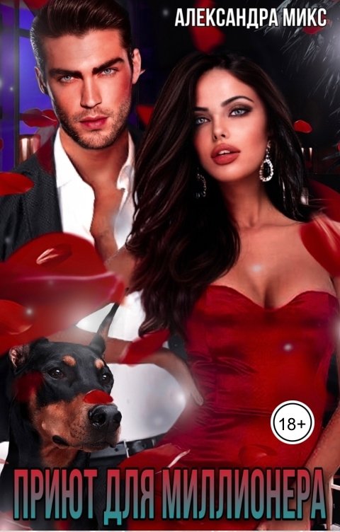 Обложка книги Александра Микс Приют для миллионера