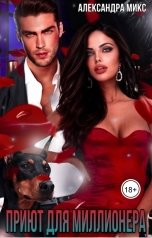обложка книги Александра Микс "Приют для миллионера"