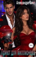 обложка книги Александра Микс "Приют для миллионера"