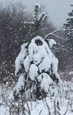 обложка книги Иван Русских "Мёртвая тишина"