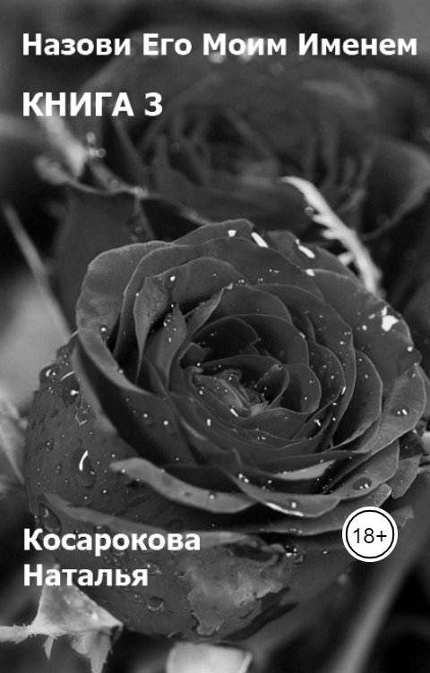 Обложка книги Косарокова Наталья Книга 3. Назови Его Моим Именем