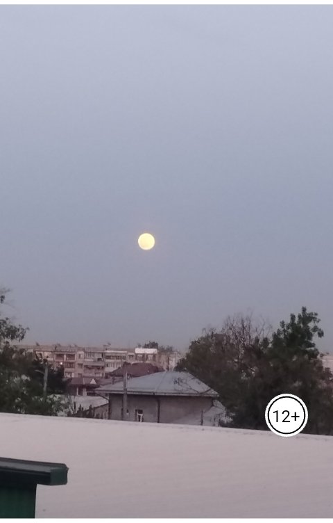 Обложка книги MurenaMurrey Финал. "Любовь и освобождение из замкнутого круга"