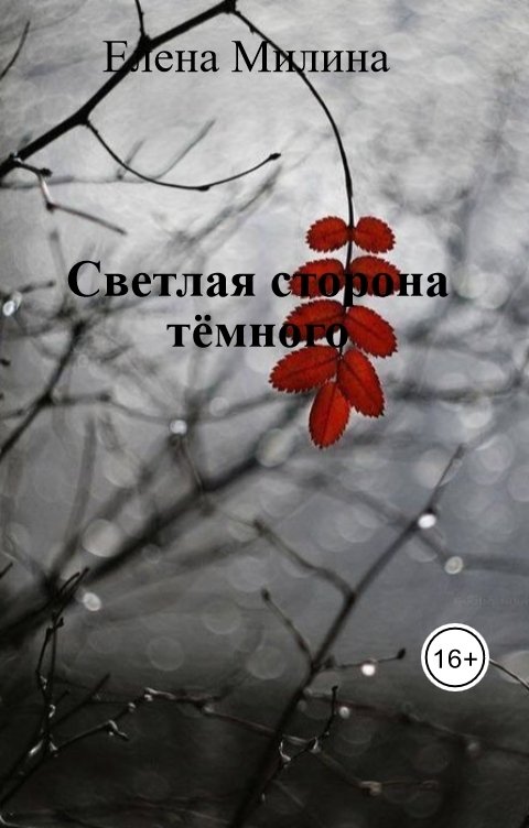 Обложка книги Елена Милина Светлая сторона тёмного