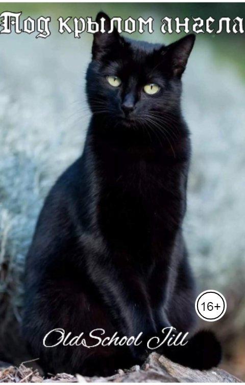 Обложка книги OldSchool Jill Под крылом ангела