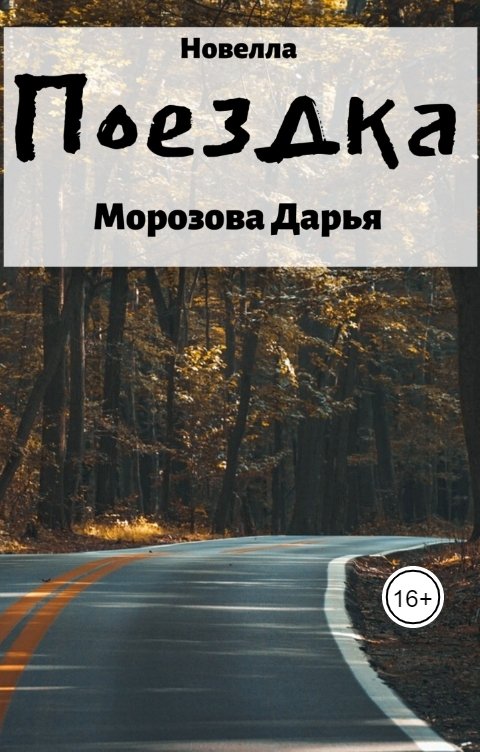 Обложка книги Дарья Морозова Поездка