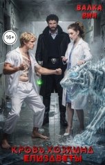 обложка книги Валка Вия "Кровь хозяина Елизаветы"