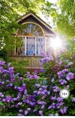 обложка книги Северное сияние "И пришёл Игнат"