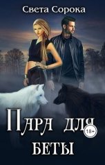 обложка книги Света Сорока "Пара для беты"