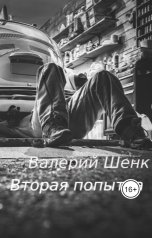 обложка книги Валерий Шенк "Вторая попытка"