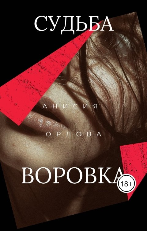 Обложка книги Анисия Орлова Судьба воровка