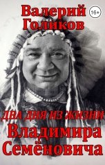 обложка книги golikovvalerii "Два дня из жизни Владимира Семёновича"