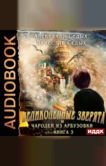 обложка книги Седых Александр, Седых Вячеслав "Великолепные зверята и чародей из Арбузовки. Книга 3. Против Колдовского мира"