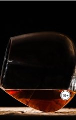 обложка книги Vladimir Sedinkin "Остракизм"