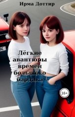 обложка книги Ирма Доттир "Лёгкие авантюры времён большого бардака"